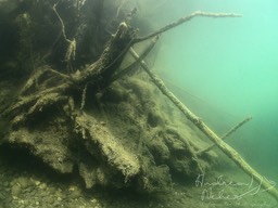 Bild_6